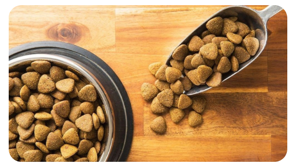 risks of high protein dog food
